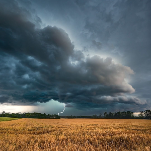 هليل الحويطي 2