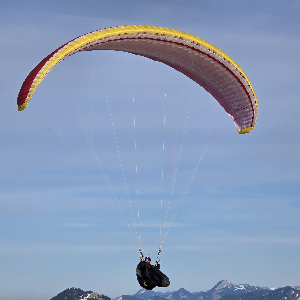 paraglider